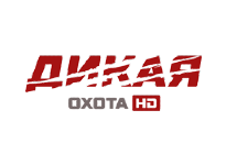 Дикая охота