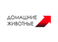 Домашние животные прямой эфир Домашние животные прямой эфир